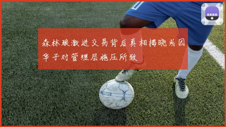 森林狼激进交易背后真相揭晓或因华子对管理层施压所致