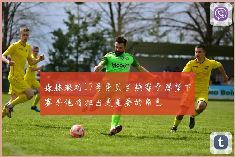 森林狼对17号秀贝兰热寄予厚望下赛季他将担当更重要的角色